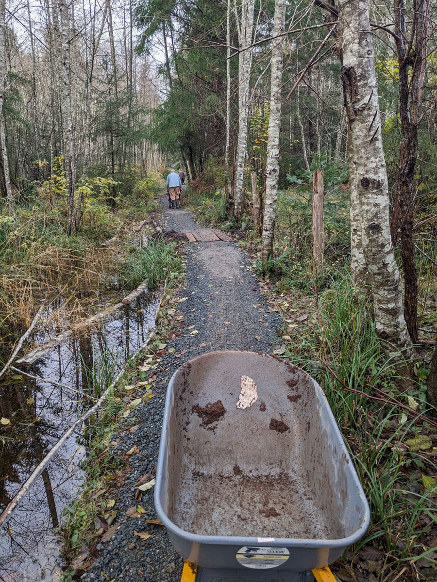 ICAN Arbutus pathway project