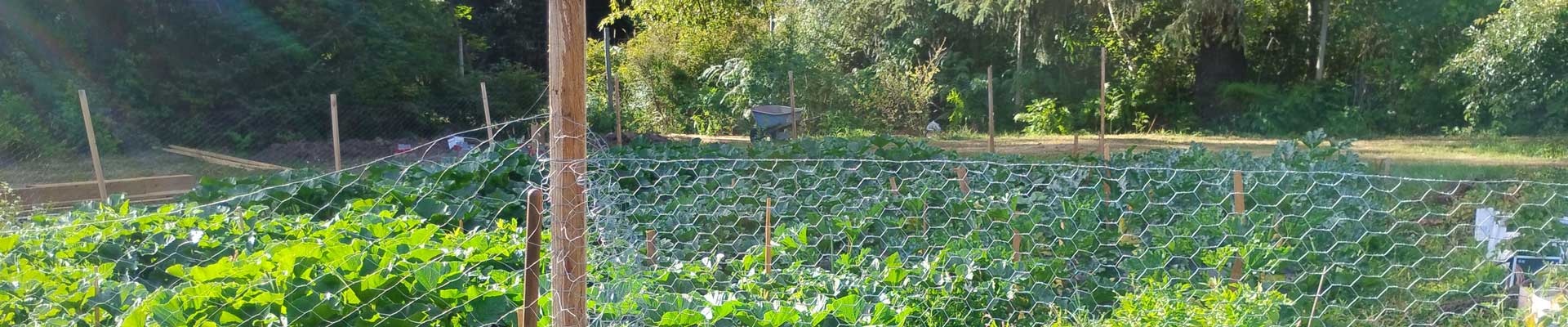 ICAN Cape Mudge Community Garden