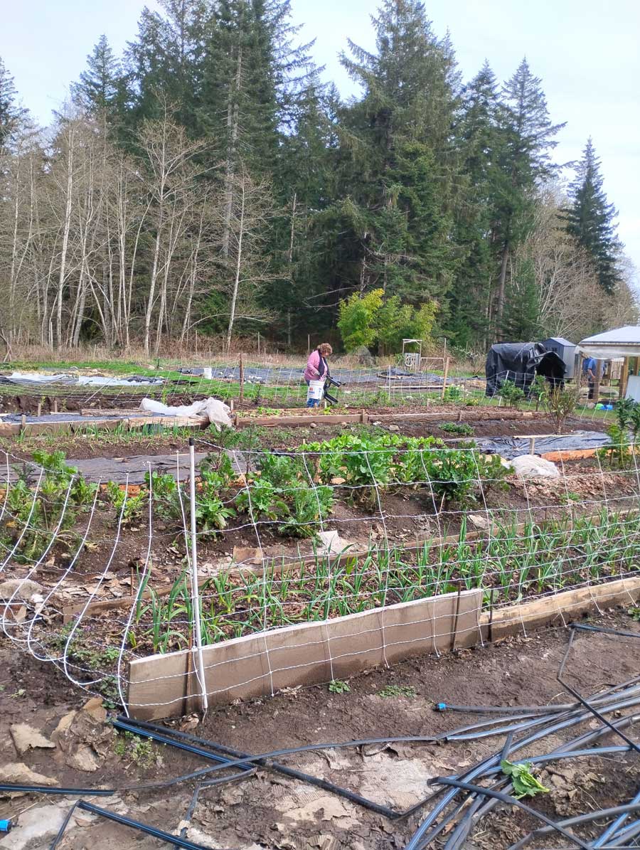 Sandy McCairns in Cape Mudge Community Garden
